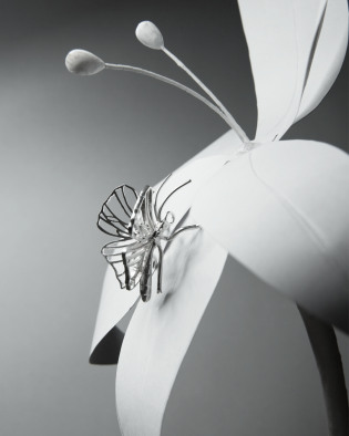 Mariposa